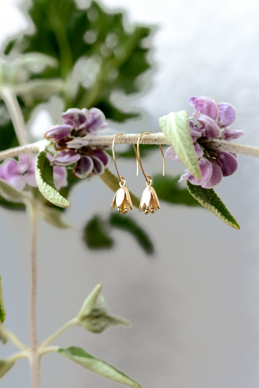 Courtenay Tulip Earrings