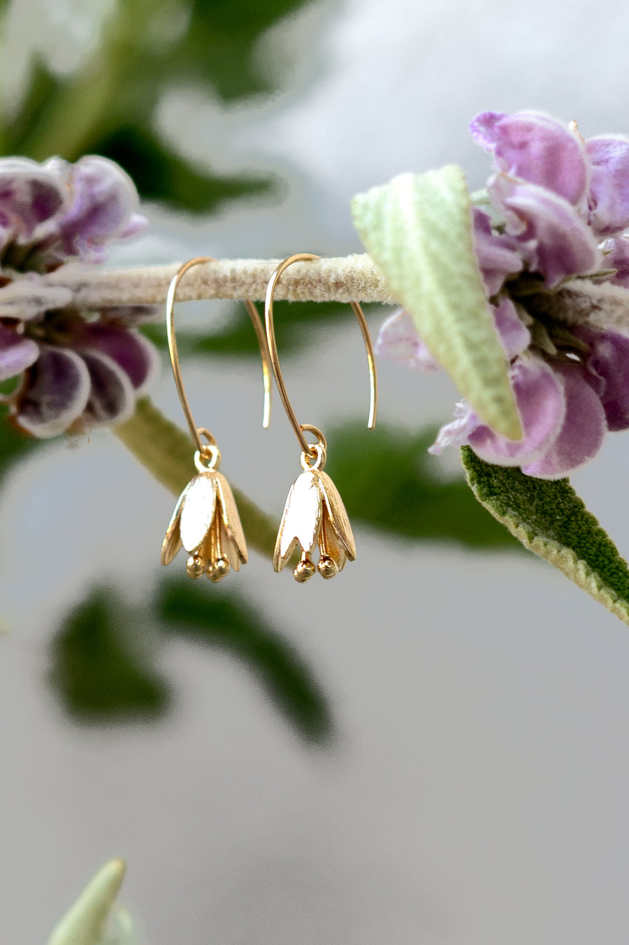 Courtenay Tulip Earrings