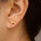 Fortune Dog Studs