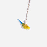Parakeet