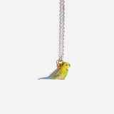Parakeet