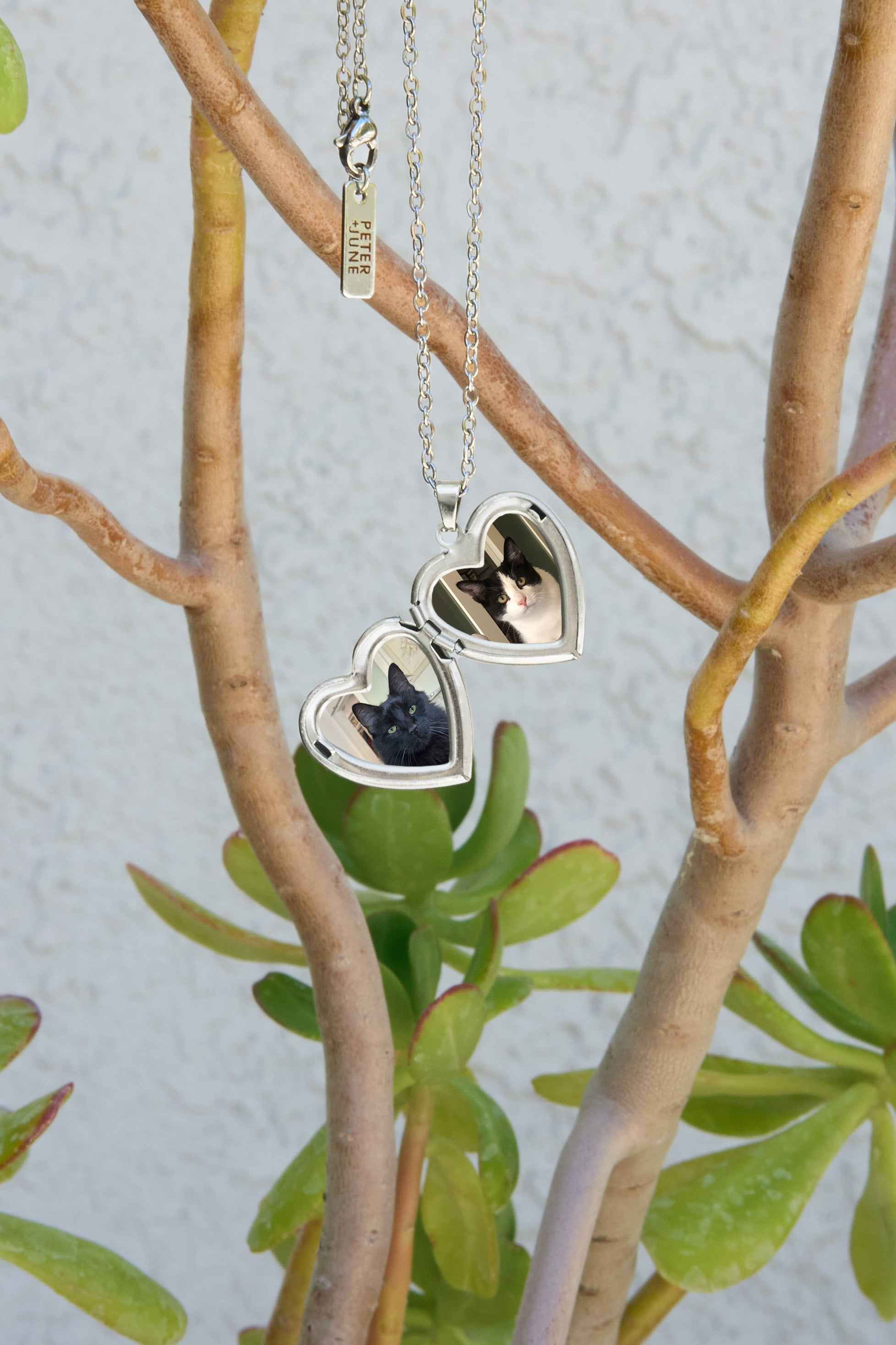 Locket Up Necklace