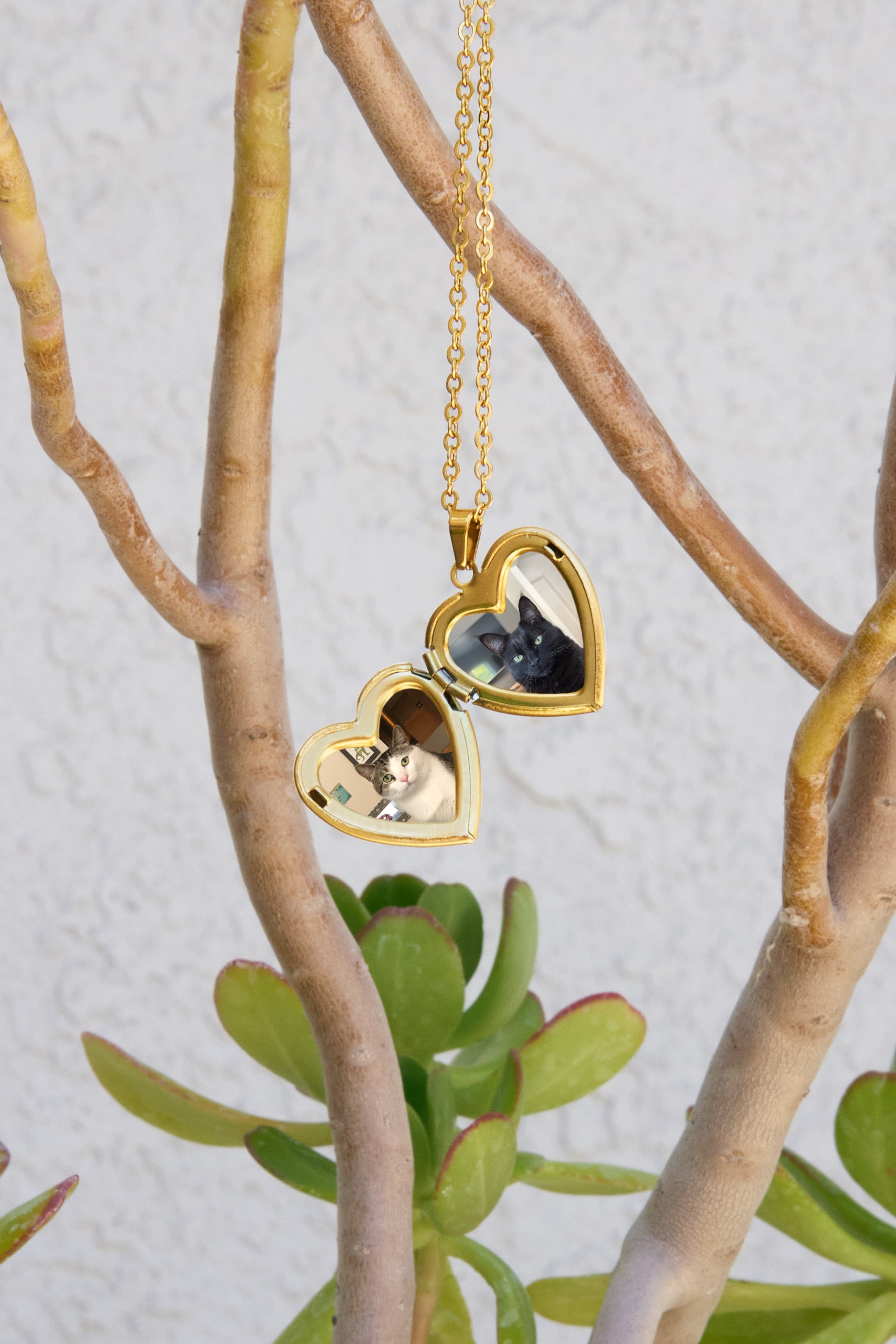 Locket Up Necklace