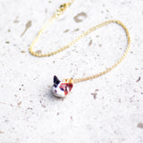 Calico Cat