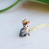 Sooki Grey Tiger Cat